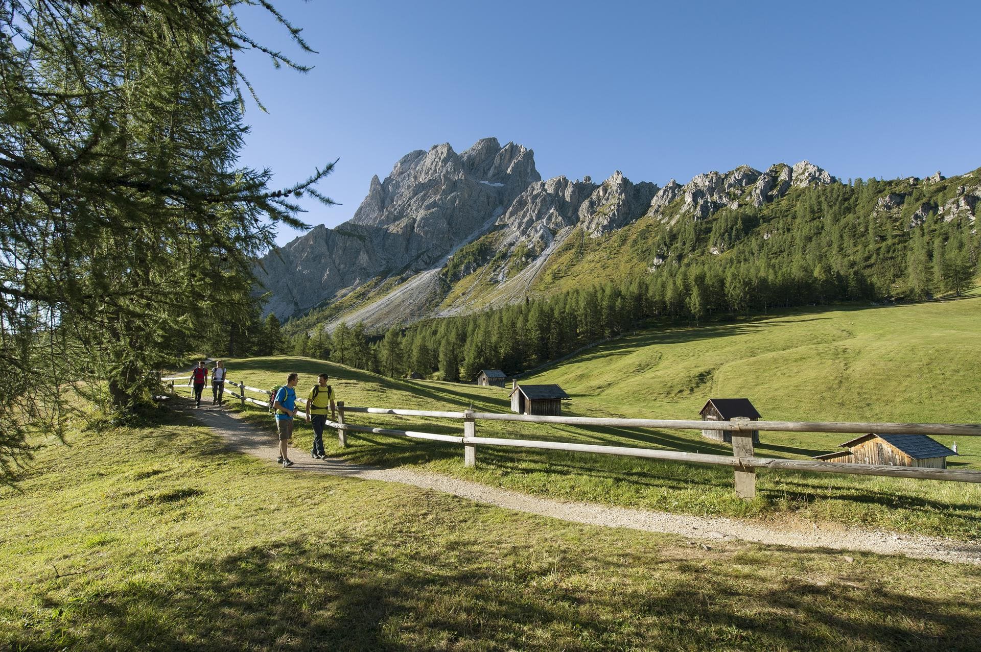 wandern-im-pustertal-sommer